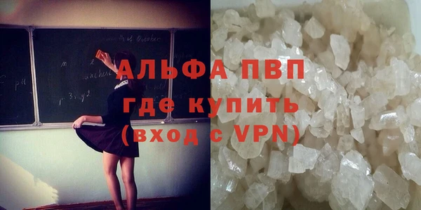 шишки Вуктыл