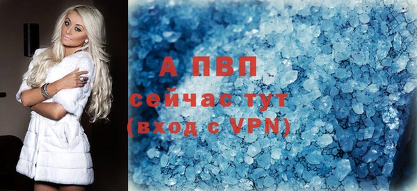 СК Покров