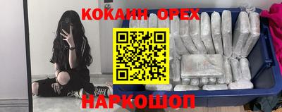 шишки Абакан