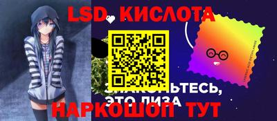 шишки Абакан