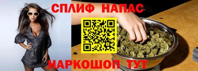 шишки Абакан