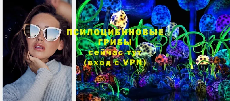 Псилоцибиновые грибы MAGIC MUSHROOMS  закладка  Амурск 