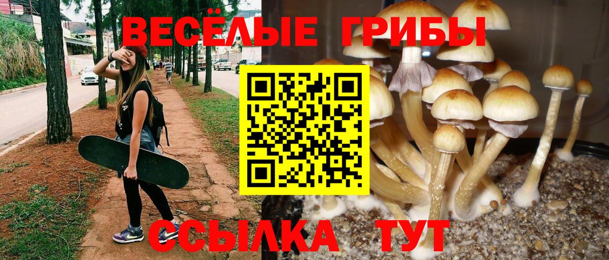 Амурск  Вход с VPN  COCAIN  МЕФ   МАРИХУАНА  ГАШ  МЕТАМФЕТАМИН 