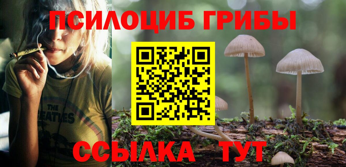 А ПВП Амурск