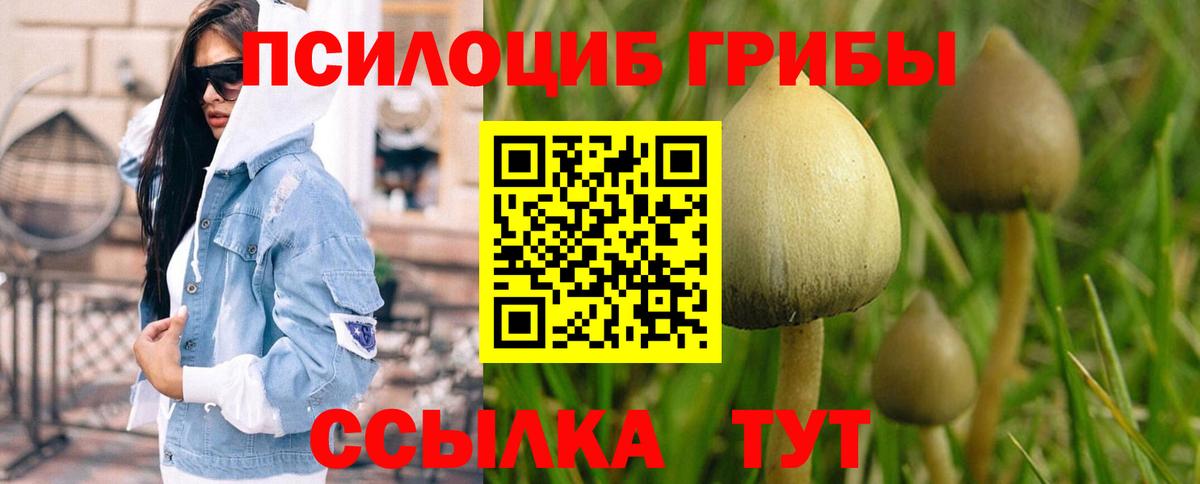 хочу наркоту  Галлюциногенные грибы Magic Shrooms  Вход с VPN  Амурск 